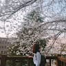sun_Ntt sun_Ntt
