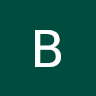 Bich Ho