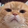 tnuay