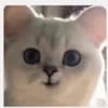 Văn Thị Ngọc Bích