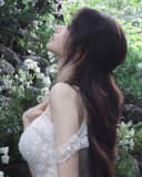 Mèo Lười Ngủ Ngày