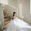 Linh Linh