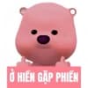 Meo meo