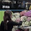 Liin