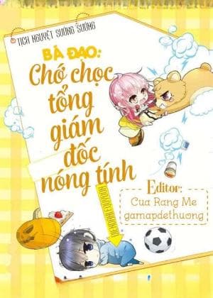 Bá Đạo: Chớ Chọc Tổng Giám Đốc Nóng Tính