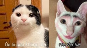 Chữa Khỏi Bệnh Yêu Đương Mù Quáng