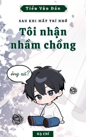 Sau Khi Mất Trí Nhớ, Tôi Nhận Nhầm Chồng
